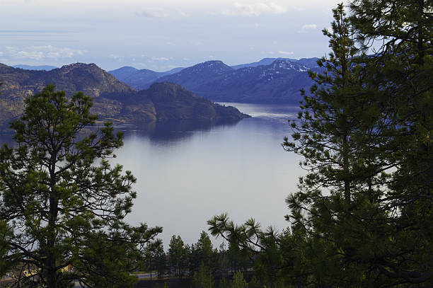 peachland lago okanagan perto - kelowna okanagan scenics okanagan valley - fotografias e filmes do acervo