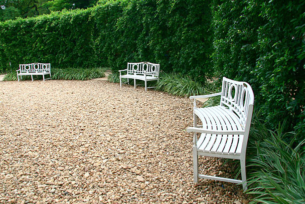 istock White chair in the garden 538371827