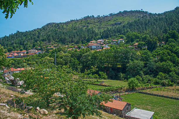 istock Houses on the hill 538372077