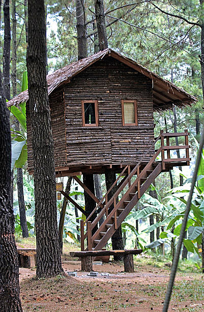 Tree house in a luxury real estate Pandaan Tamandayu in Pasuruan, East Java, Indonesia. The tree house is the concept of returning to nature, to support the region's gaming arena.