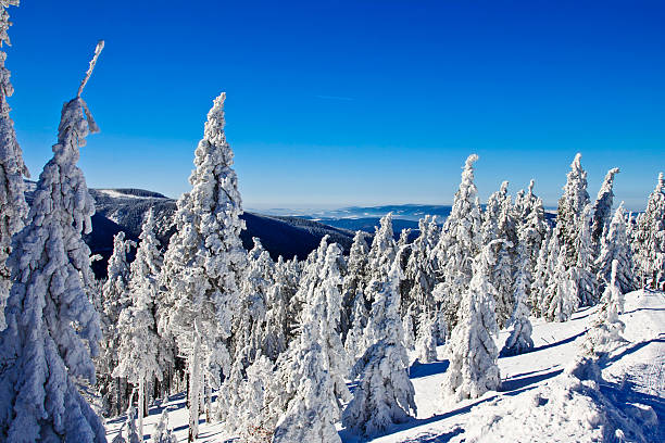 istock Beautiful winter landscape in the mountains 538390279