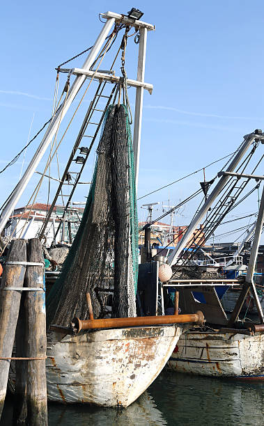 istock Fishing vessels in sea haven moored 538391607