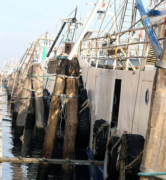 istock Fishing vessels in sea harbor moored 538391609