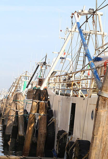 istock Fishing vessels in sea harbor moored 538391629
