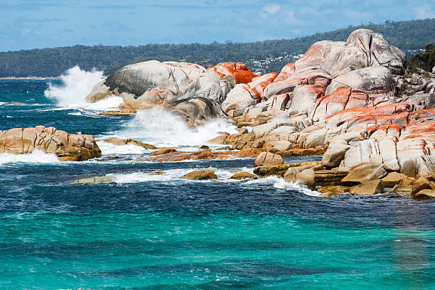 Bay of Fires Bay of Fires, Tasmania, Australia bay of fires photos stock pictures, royalty-free photos & images