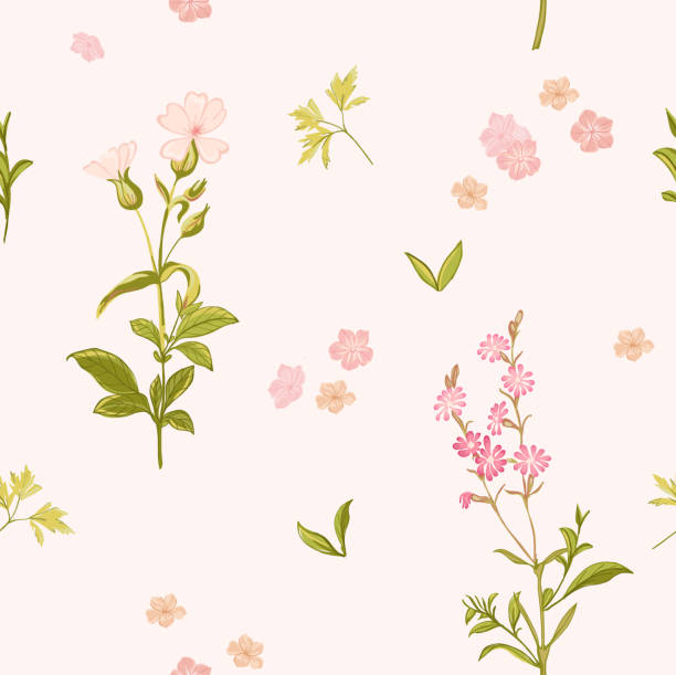 ilustrações de stock, clip art, desenhos animados e ícones de fundo de flor-sem costura floral shabby chic padrão - wedding rose lace backgrounds
