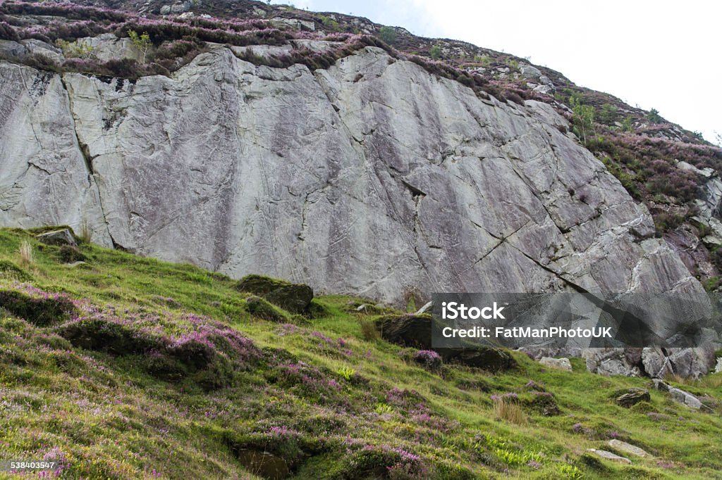 Glacial Polish, rocks smoothed by Ice Age glacier. Rock smoothed by ice age glacier passing over it. Drws-y-coed Valley, Snowdonia National Park, Gwynedd, Wales, United Kingdom. 2015 Stock Photo