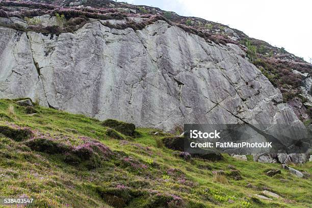 Glacial Polish Rocks Smoothed By Ice Age Glacier Stock Photo - Download Image Now - 2015, Europe, Geology