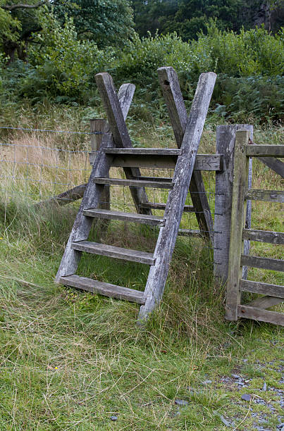 istock Latter Stile, style, steps up and over fence 538403567