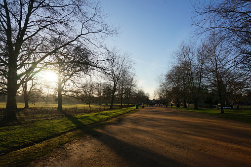 A path in Christ Church Meadow, before sunset