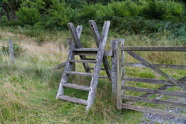 istock Latter Stile, style, steps up and over fence 538404643