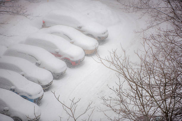 Cars covered in snow on a parking lot