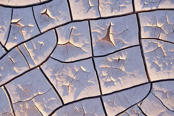 Photo of Drought, dry mud in the desert