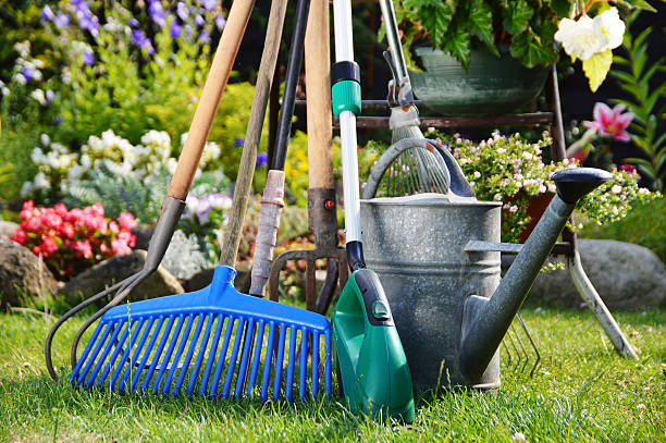 istock Watering can and tools in the garden 538406995
