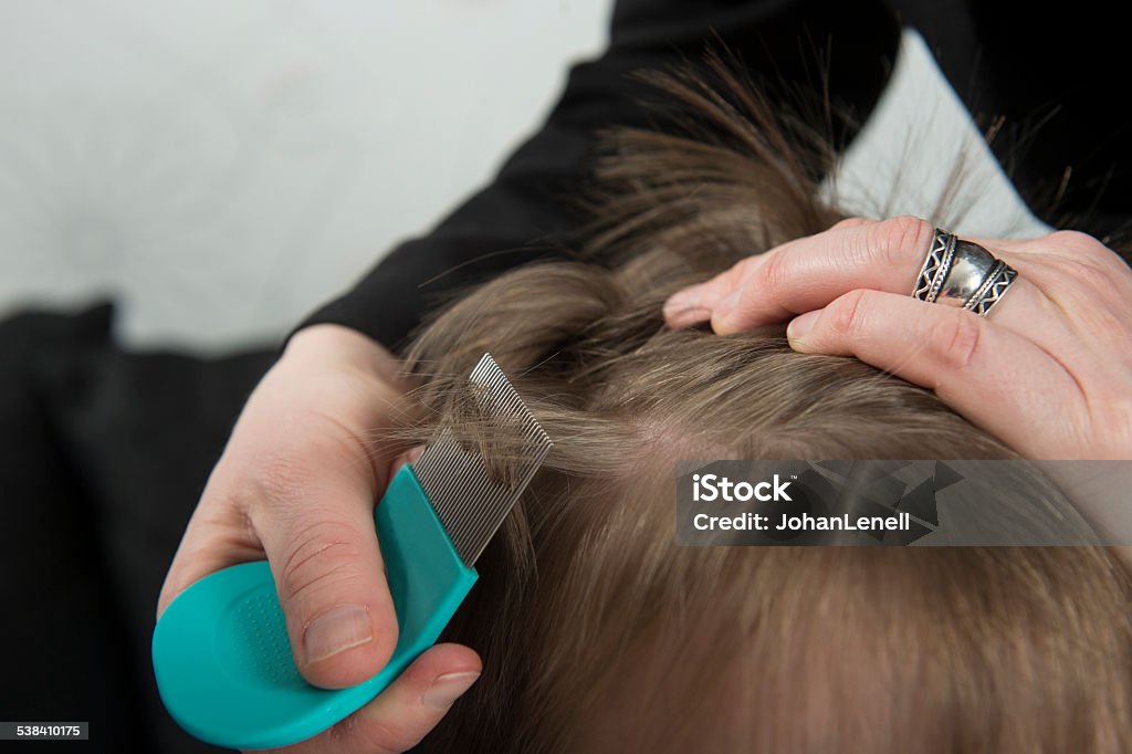 Checking for lice Mother checking childs head for lice with a comb Louse Stock Photo