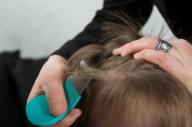 Checking for lice Mother checking childs head for lice with a comb combing stock pictures, royalty-free photos & images