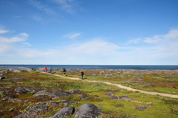 семья прогулки в кейп-мэри, черчилля, манитоба, канада - arctic canada landscape manitoba стоковые фото и изображения