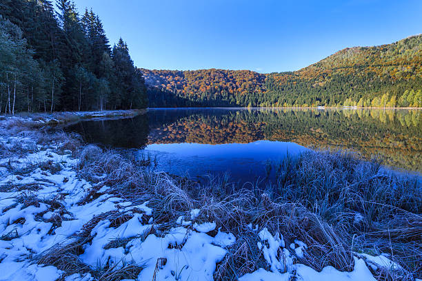 istock Saint Anna Lake, Romania 538412809