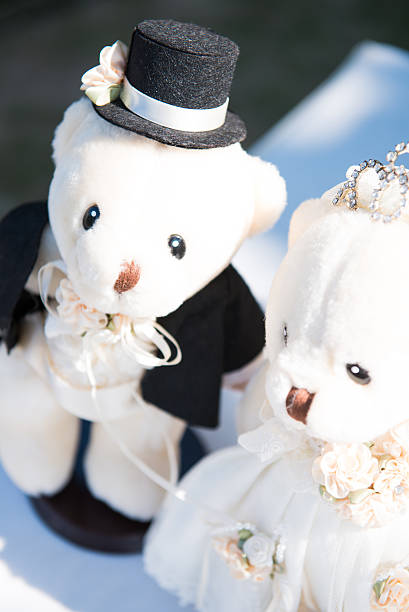teddy bride