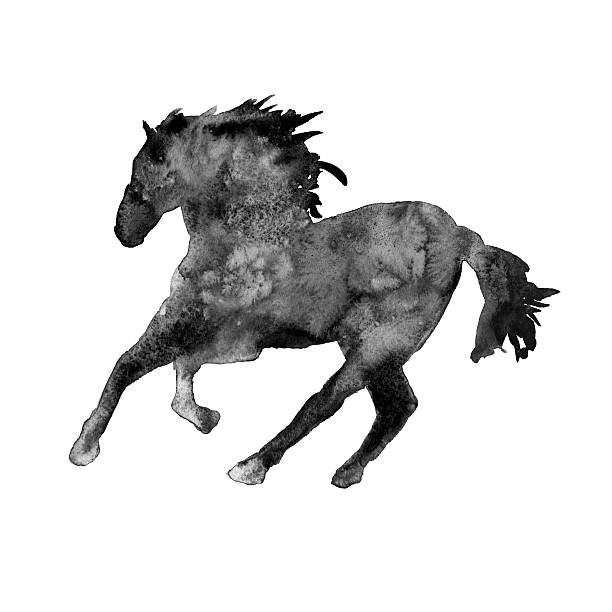 istock silhouette of a horse. isolated. watercolor illustration 538447602