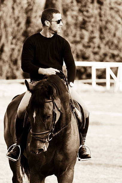 istock Horse Riding. Portrait. Vintage toned. 538447847