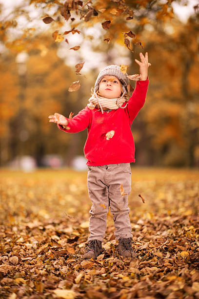 istock Little boy throwing leaves in park. 538448371
