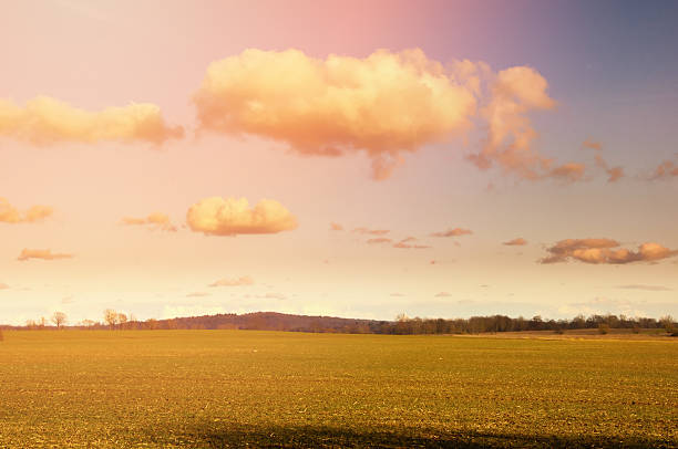 istock Picture of early spring 538448578