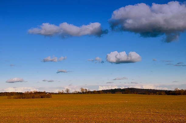 istock Picture of early spring 538448732