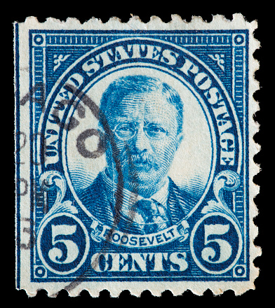 UNITED STATES OF AMERICA - CIRCA 1922: A used postage stamp printed in United States shows a portrait of the President Theodore Roosevelt on blue background, circa 1922
