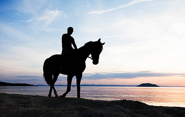 istock Horse Riding at Sunset. Beach. Seaside. 538449291
