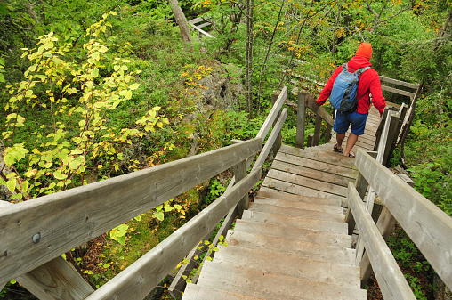 Going down a foot path in Pukaskwa National Park, Canada