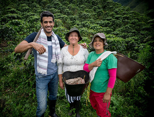 istock Colombian people working at a coffee farm 538449904