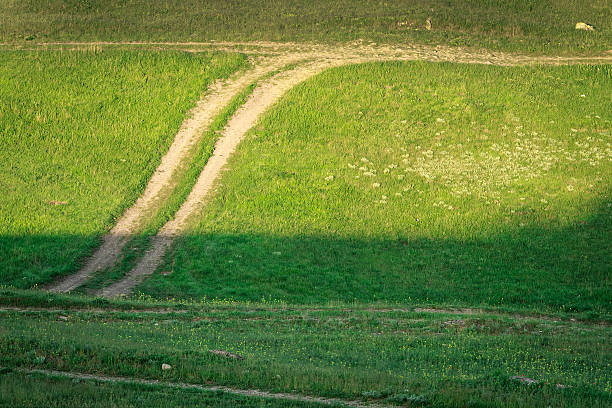 istock Rural road runs through a field of green grass 538450269