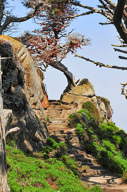 istock Stairway in the Park 538450880
