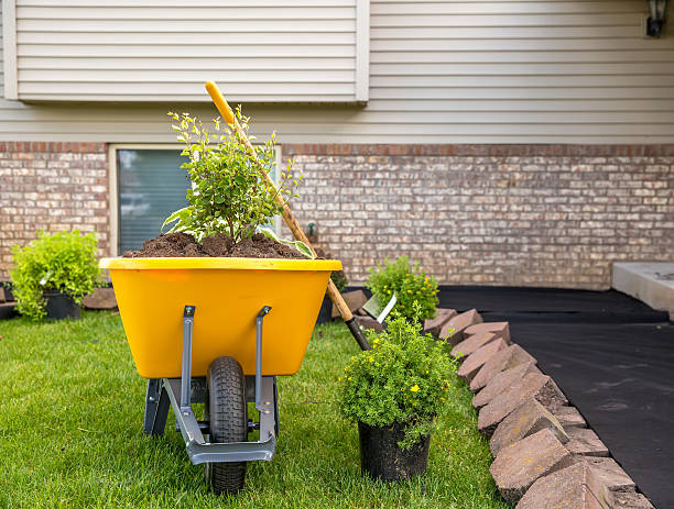 Wheelbarrow & Shrubs - Landscaping Project in Front of House stock photo