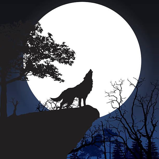 howling к полная луна - computer graphic image characters full stock illustrations