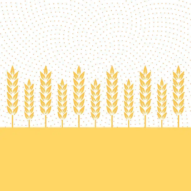 Vector illustration of Wheat plantation - VECTOR