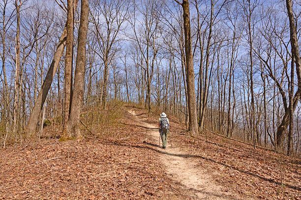 istock Hiking up a Mountain trail 538457074