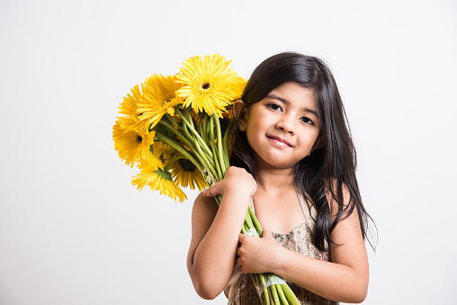 indian small girl holding bouquet of yellow gerbera flowers, isolated over white background, indian girl and flowers, asian girl holding flowers