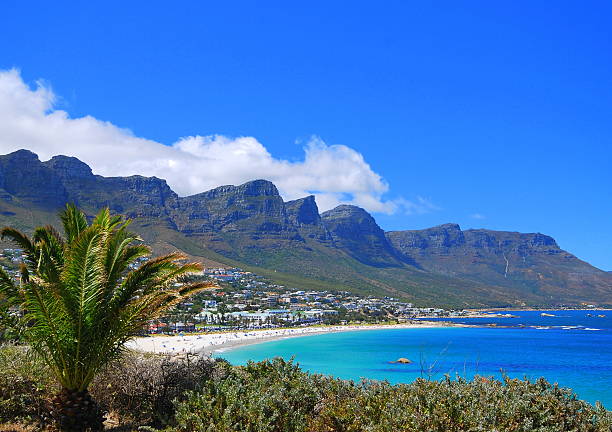 istock Camps Bay,Cape Town South Africa December 2016 538458906