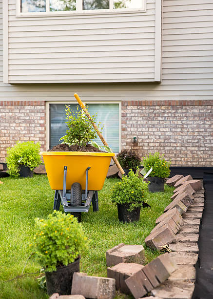 istock Wheelbarrow & Shrubs - Landscaping Project in Front of House 538466512