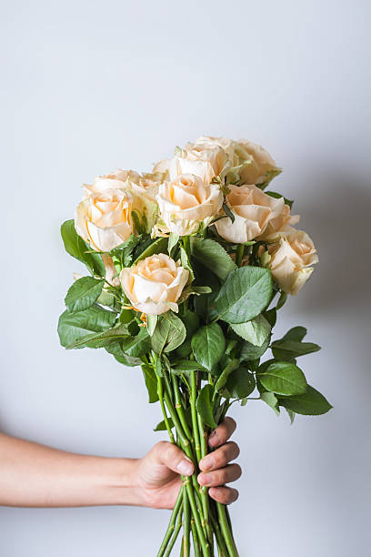 istock golden rose bouquet hold by hand with white background 538469536