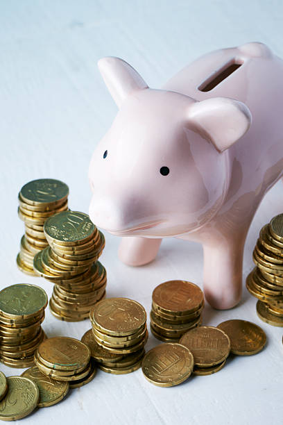 istock Piggy bank and coins 538469902