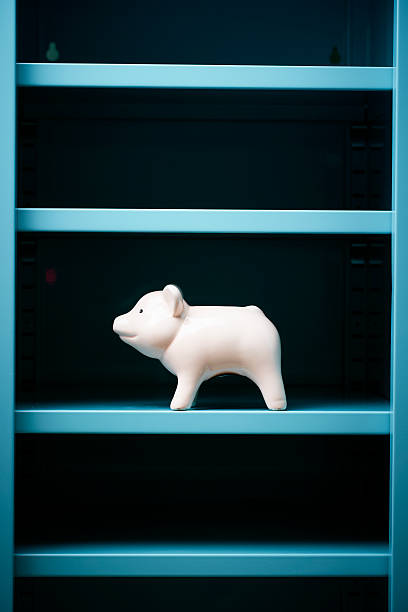 istock Piggy bank on shelf 538469968