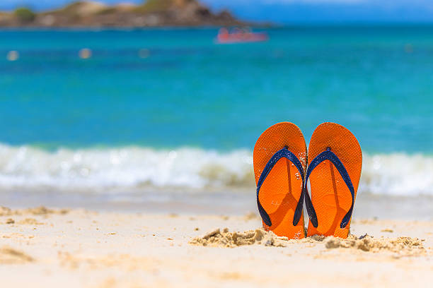 istock Summer beach, blue ocean with clear sky 538474056