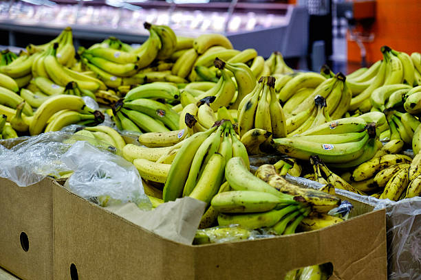 istock bananas in the supermarket 538474208