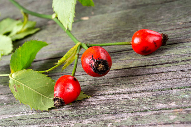 istock Dog roses on wooden background, selective focus 538474710