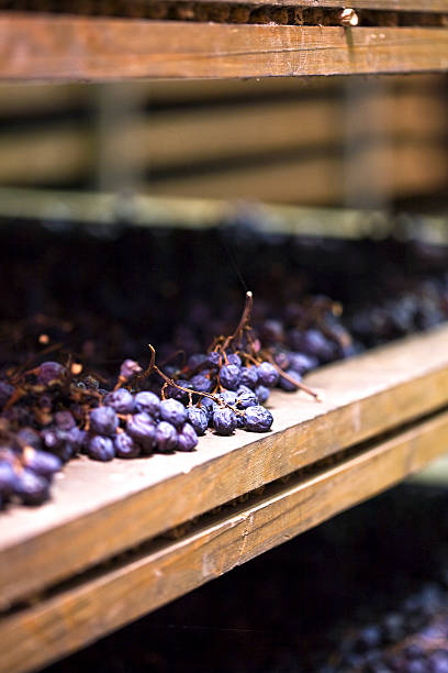 Bunches of grapes used for Amarone, drying on mats called 'arelle' to increase sugar content.