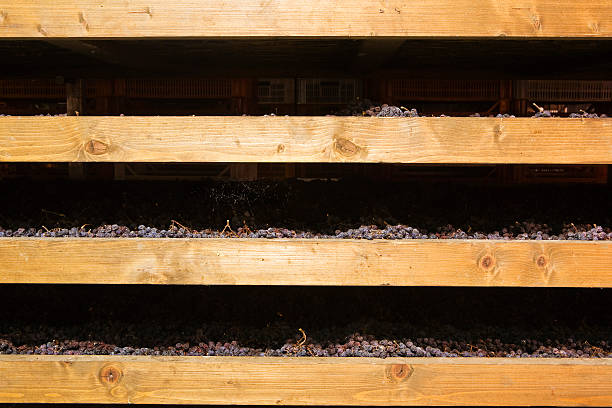 Bunches of grapes used for Amarone, drying on mats called 'arelle' to increase sugar content.