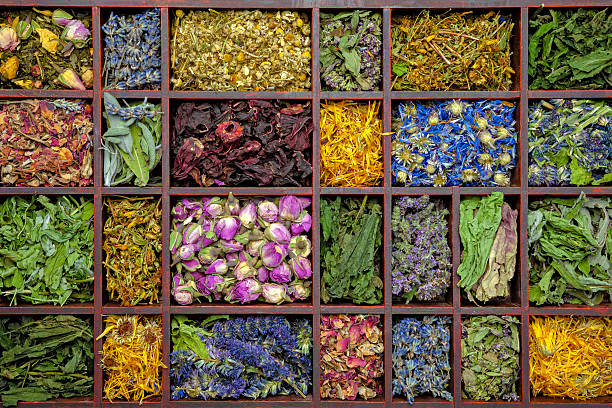 de té - tea organic single flower flower fotografías e imágenes de stock